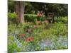 Garden and Forest in New Brunswick, Canada-Ellen Anon-Mounted Photographic Print