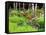 Garden and Forest in New Brunswick, Canada-Ellen Anon-Framed Stretched Canvas