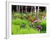 Garden and Forest in New Brunswick, Canada-Ellen Anon-Framed Photographic Print