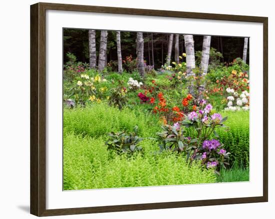 Garden and Forest in New Brunswick, Canada-Ellen Anon-Framed Photographic Print