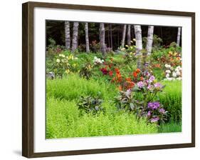 Garden and Forest in New Brunswick, Canada-Ellen Anon-Framed Photographic Print