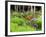 Garden and Forest in New Brunswick, Canada-Ellen Anon-Framed Photographic Print