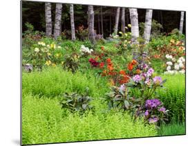 Garden and Forest in New Brunswick, Canada-Ellen Anon-Mounted Photographic Print