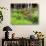 Garden and Forest in New Brunswick, Canada-Ellen Anon-Photographic Print displayed on a wall