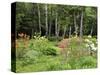 Garden and Forest in New Brunswick, Canada-Ellen Anon-Stretched Canvas