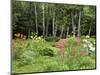 Garden and Forest in New Brunswick, Canada-Ellen Anon-Mounted Photographic Print