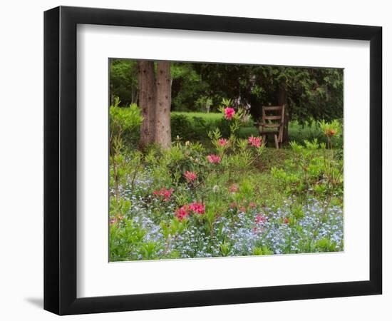 Garden and Forest in New Brunswick, Canada-Ellen Anon-Framed Photographic Print