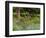 Garden and Forest in New Brunswick, Canada-Ellen Anon-Framed Photographic Print