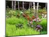 Garden and Forest in New Brunswick, Canada-Ellen Anon-Mounted Photographic Print