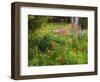 Garden and Forest in New Brunswick, Canada-Ellen Anon-Framed Photographic Print