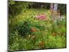 Garden and Forest in New Brunswick, Canada-Ellen Anon-Mounted Photographic Print