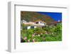 Garden and Holiday Homes in Jardim do Mar, Madeira Island, Portugal-null-Framed Premium Giclee Print