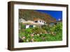 Garden and Holiday Homes in Jardim do Mar, Madeira Island, Portugal-null-Framed Art Print