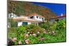 Garden and Holiday Homes in Jardim do Mar, Madeira Island, Portugal-null-Mounted Art Print