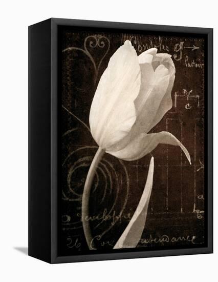 Garden Architecture I-Amy Melious-Framed Stretched Canvas