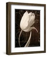 Garden Architecture I-Amy Melious-Framed Premium Giclee Print