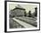 Garden at 187 Valence Wood Road, Becontree Estate, Ilford, London, 1929-null-Framed Photographic Print