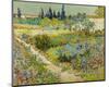 Garden at Arles, 1888-Vincent van Gogh-Mounted Art Print