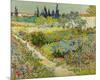 Garden at Arles, 1888-Vincent van Gogh-Mounted Art Print