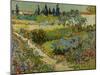 Garden at Arles, 1888-Vincent van Gogh-Mounted Giclee Print
