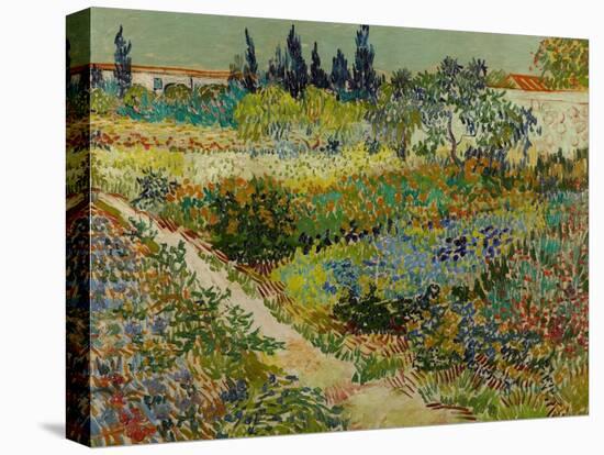 Garden at Arles, 1888-Vincent van Gogh-Stretched Canvas