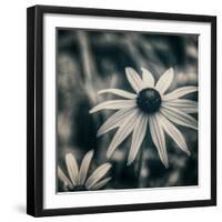 Garden at Dusk-Linda Hoey-Framed Art Print