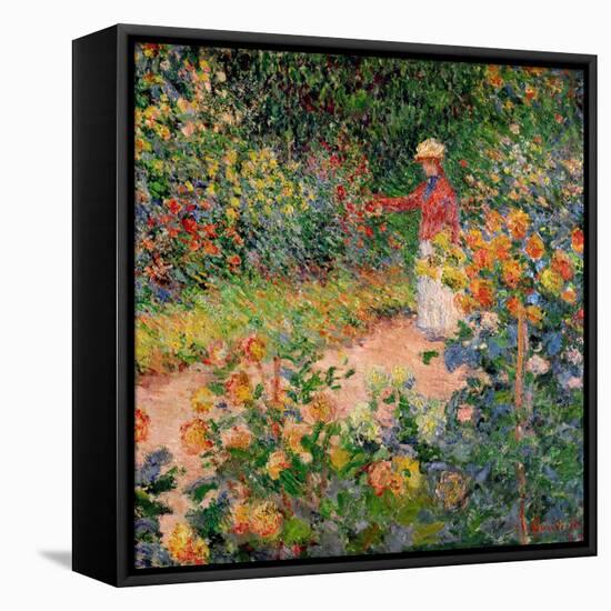 Garden at Giverny, 1895-Claude Monet-Framed Stretched Canvas