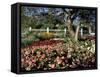 Garden at Prescott Park, New Hampshire, USA-Jerry & Marcy Monkman-Framed Stretched Canvas