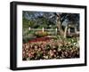 Garden at Prescott Park, New Hampshire, USA-Jerry & Marcy Monkman-Framed Photographic Print