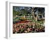 Garden at Prescott Park, New Hampshire, USA-Jerry & Marcy Monkman-Framed Photographic Print