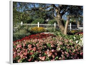 Garden at Prescott Park, New Hampshire, USA-Jerry & Marcy Monkman-Framed Photographic Print