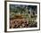 Garden at Prescott Park, New Hampshire, USA-Jerry & Marcy Monkman-Framed Photographic Print