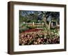 Garden at Prescott Park, New Hampshire, USA-Jerry & Marcy Monkman-Framed Photographic Print