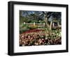 Garden at Prescott Park, New Hampshire, USA-Jerry & Marcy Monkman-Framed Photographic Print