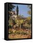 Garden at Sainte Adresse-Claude Monet-Framed Stretched Canvas