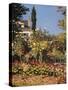 Garden at Sainte Adresse-Claude Monet-Stretched Canvas