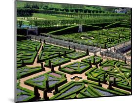 Garden at Villandry Chateau, Loire Valley,-David Barnes-Mounted Photographic Print