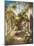 Garden Atrium ll-Vera Oxley-Mounted Art Print