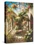 Garden Atrium ll-Vera Oxley-Stretched Canvas