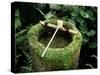 Garden Basin Covered with Moss, Japan-null-Stretched Canvas