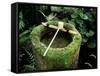 Garden Basin Covered with Moss, Japan-null-Framed Stretched Canvas