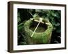 Garden Basin Covered with Moss, Japan-null-Framed Photographic Print