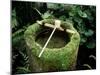 Garden Basin Covered with Moss, Japan-null-Mounted Photographic Print