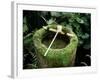 Garden Basin Covered with Moss, Japan-null-Framed Photographic Print