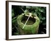 Garden Basin Covered with Moss, Japan-null-Framed Photographic Print