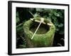 Garden Basin Covered with Moss, Japan-null-Framed Photographic Print