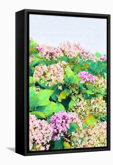 Garden Beauties I-Emily Navas-Framed Stretched Canvas