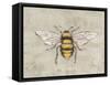 Garden Beauties V Gray-Julia Purinton-Framed Stretched Canvas