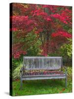 Garden Bench and Japanese Maple Tree, Steamboat Inn, Oregon, USA-Jaynes Gallery-Stretched Canvas