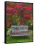 Garden Bench and Japanese Maple Tree, Steamboat Inn, Oregon, USA-Jaynes Gallery-Framed Stretched Canvas